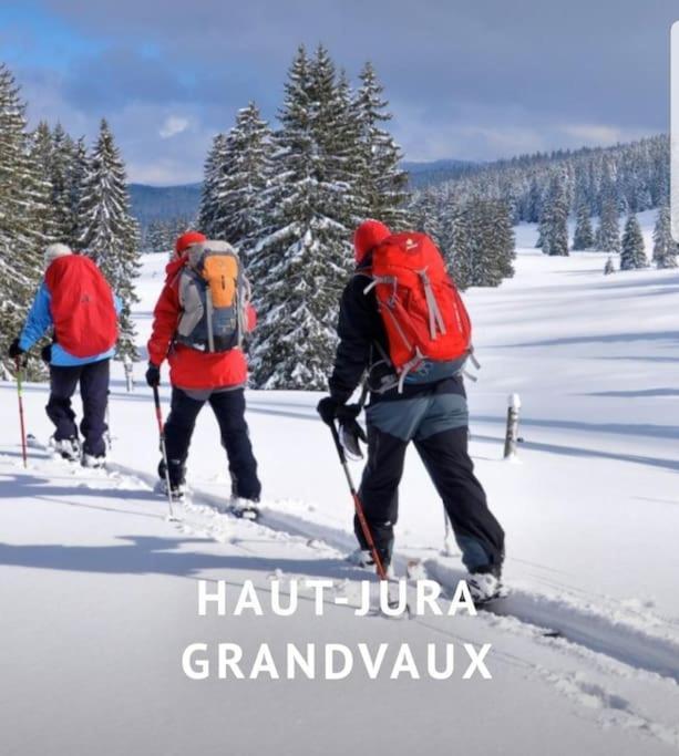 Ney Gite Jura Mina Chalet Au Milieu De La Nature 빌라 외부 사진