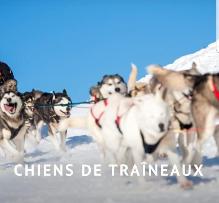 Ney Gite Jura Mina Chalet Au Milieu De La Nature 빌라 외부 사진